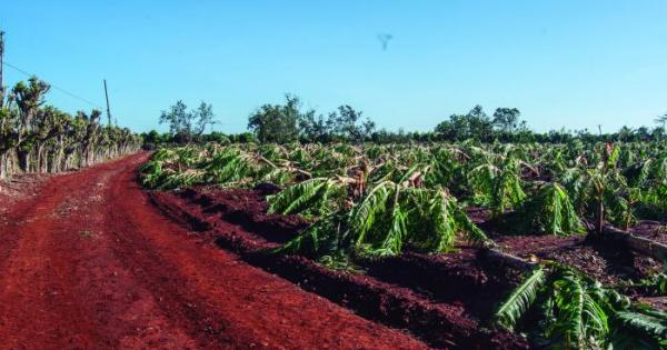 Recuperar lo perdido en la agricultura tiene que ser premisa de trabajo