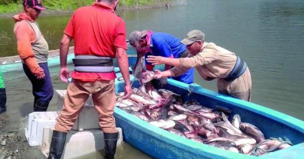 pasar de la retórica a los hechos