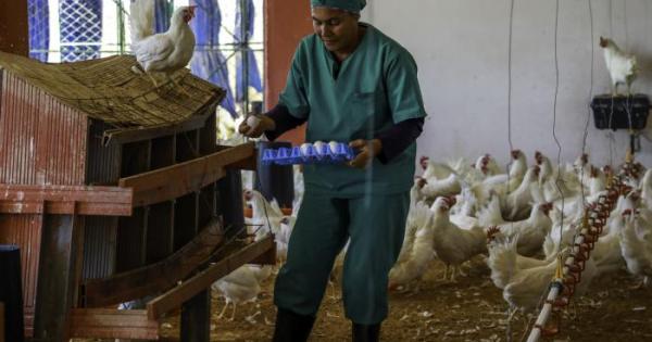 Programa Económico y Social del Gobierno 2026; Economía;