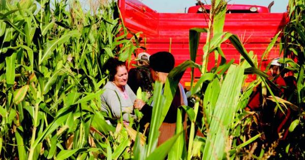 AGRICULTURA