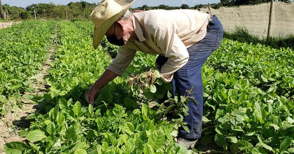 mongo_entrevista1.jpg (205.42 KB)