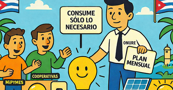 Nuevas reglas para el uso de la energía en el sector no estatal: Una radiografía de la política y su implementación