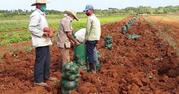 visita-de-valdés-mesa-580x324.jpg (69.97 KB)