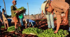 Autonomía municipal en Cuba