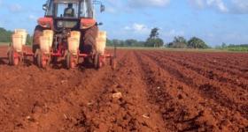 agricultura
