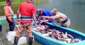 pasar de la retórica a los hechos
