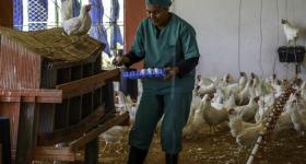 Programa Económico y Social del Gobierno 2026; Economía;