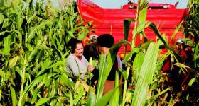 AGRICULTURA